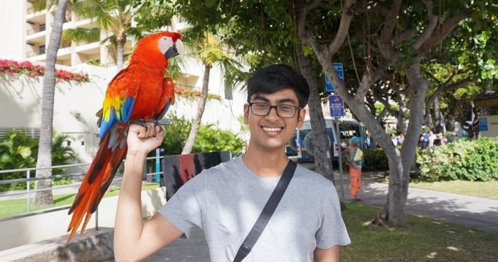 Ex-OpenAI engineer who raised legal concerns about the technology he helped build has died - National