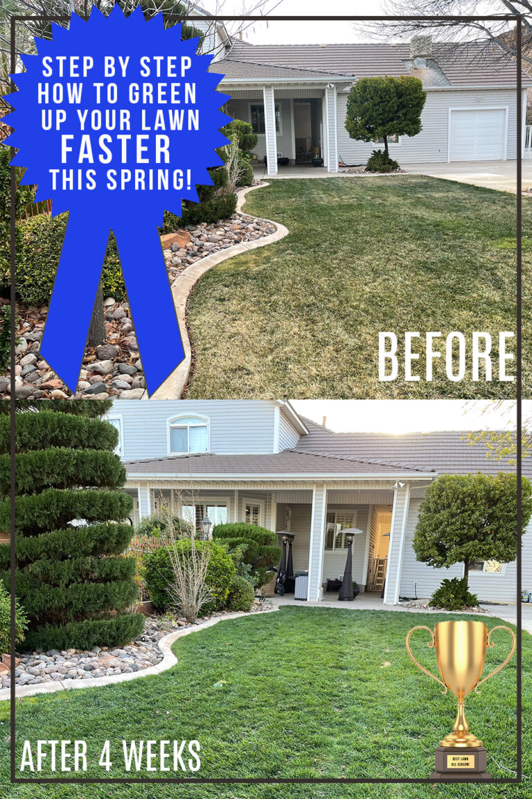 How-to-green-up-your-lawn-fast.jpg