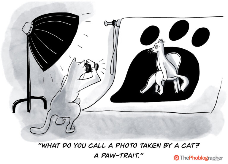 Phoblographer_pawtrait.jpg