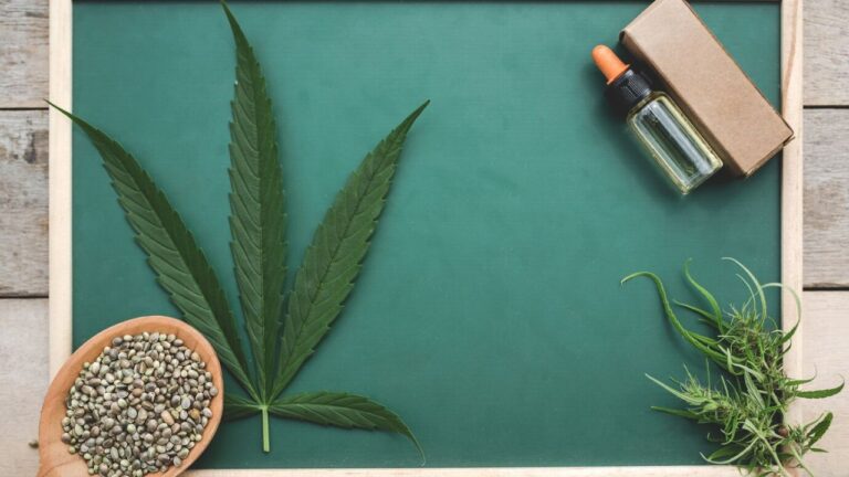 Raw Organic Hemp vs Traditional Rolling Papers: What’s the Difference?