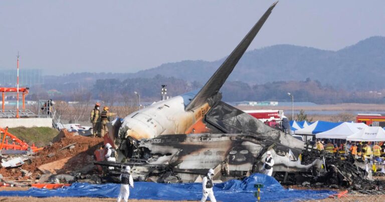 Passenger jet engulfed in flames after crash-landing in South Korean airport, killing at least 179