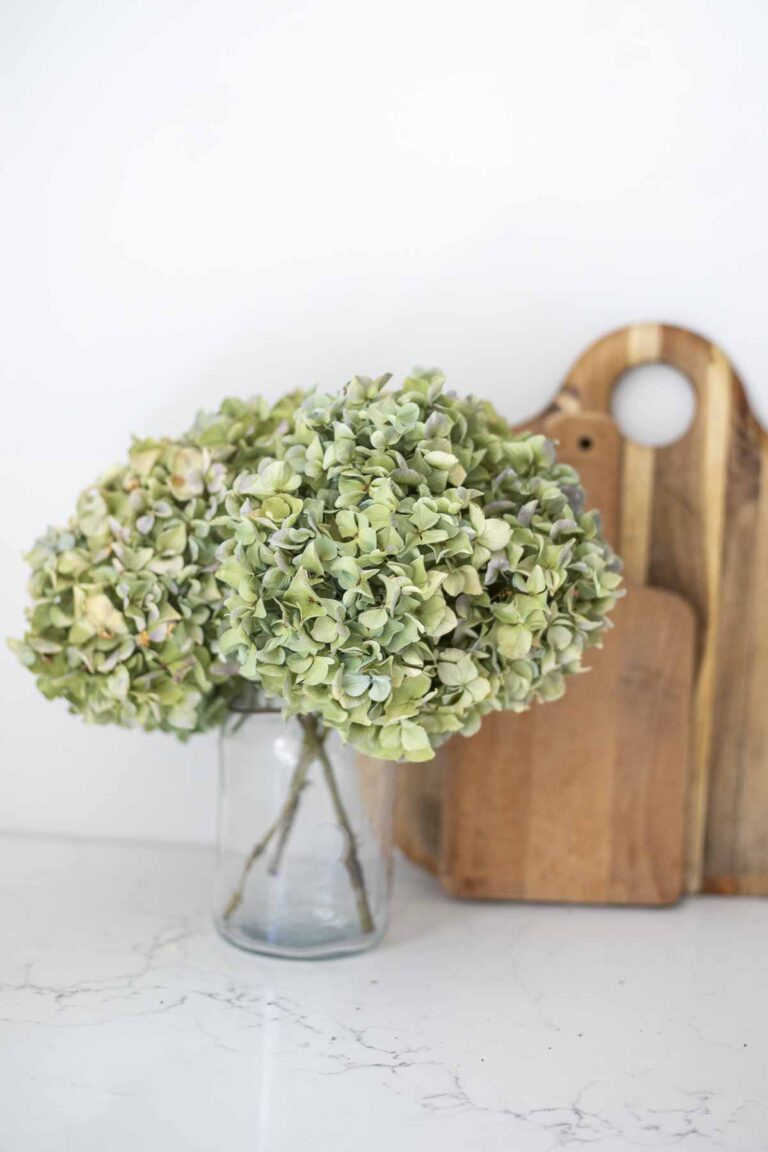 how-to-dry-hydrangeas-4.jpg