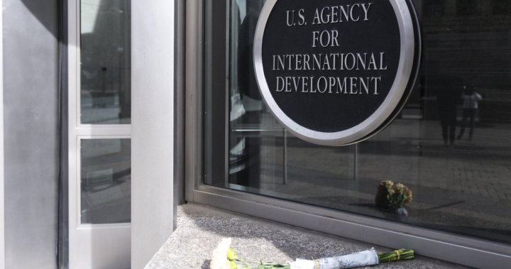 Canadian charities ask Ottawa to fill ‘catastrophic’ gaps left by USAID - National