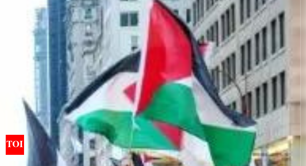 Police clash with Brooklyn College protesters after pro-Palestinian rally