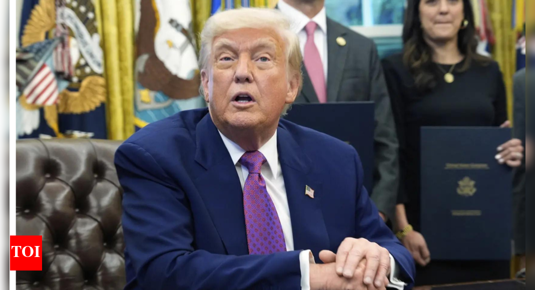 What is 'flying palace' that Qatar will gift to President Trump?