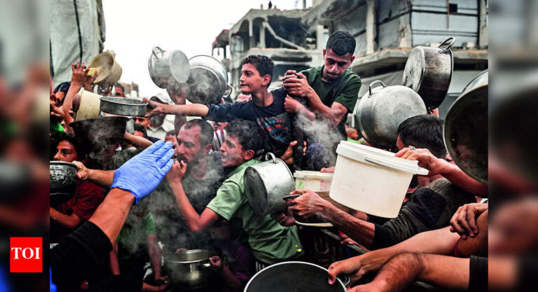 Did United Nations say 14000 babies would die in Gaza within 48 hours? Here is the truth... | World News