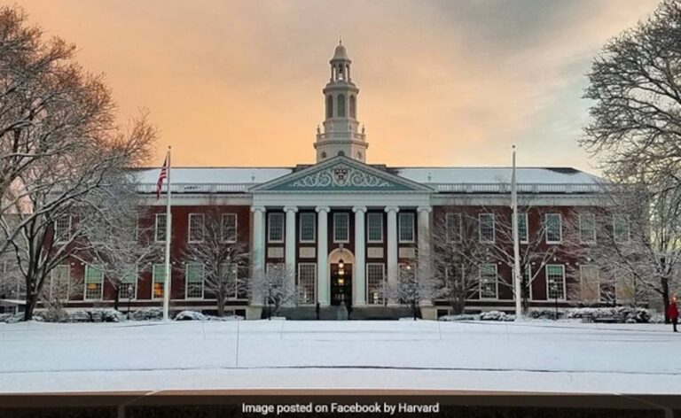 Foreign Students At Harvard Panic Amid Trump Battle