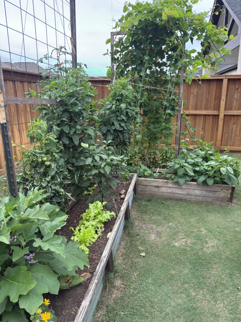 बगीचे के बिस्तर और ट्रेलिस को उठाया