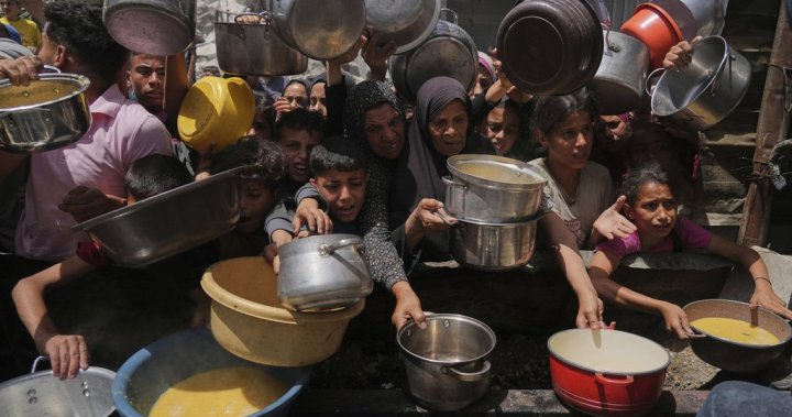 Gaza begins to see aid for 1st time in 2.5 months. What to know - National