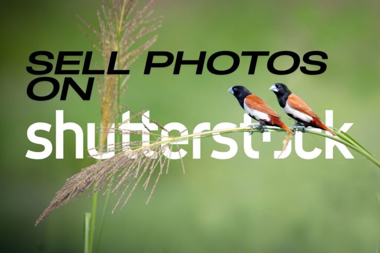 how-to-sell-photos-on-shutterstock-a-comprehensive-guide-for-photographers.jpg