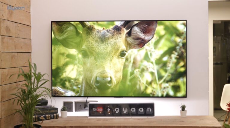 lg-oled-evo-scaled.jpg