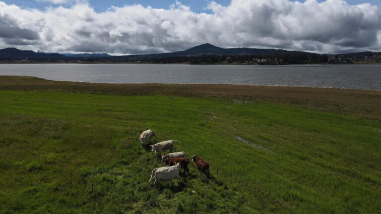 Mexico says US suspension of beef imports because of screwworm is unfair