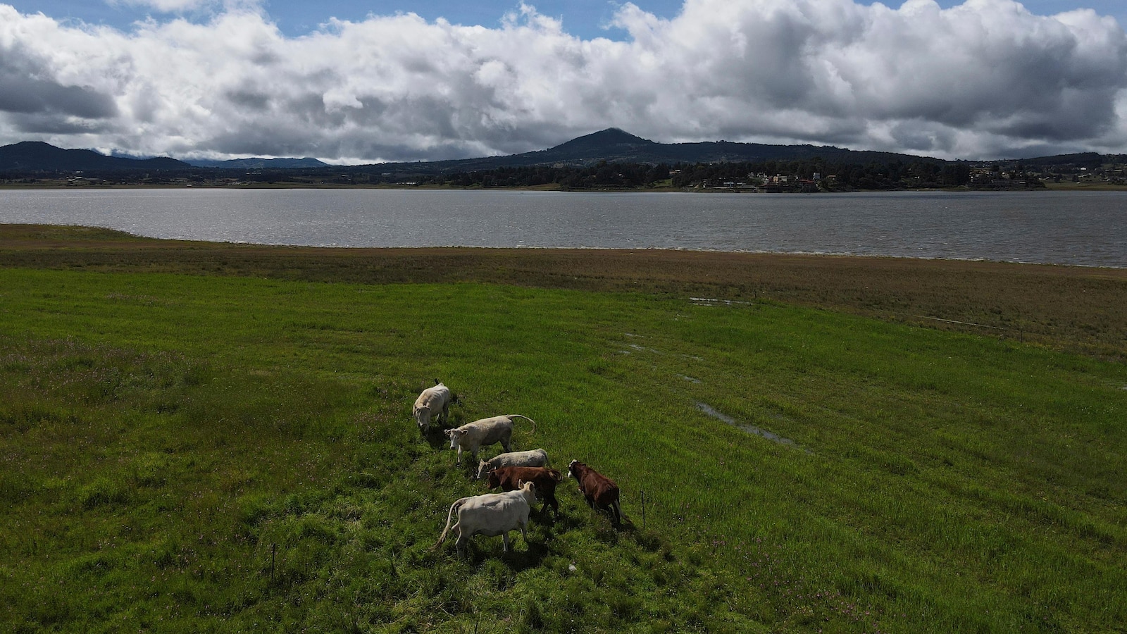 Mexico says US suspension of beef imports because of screwworm is unfair