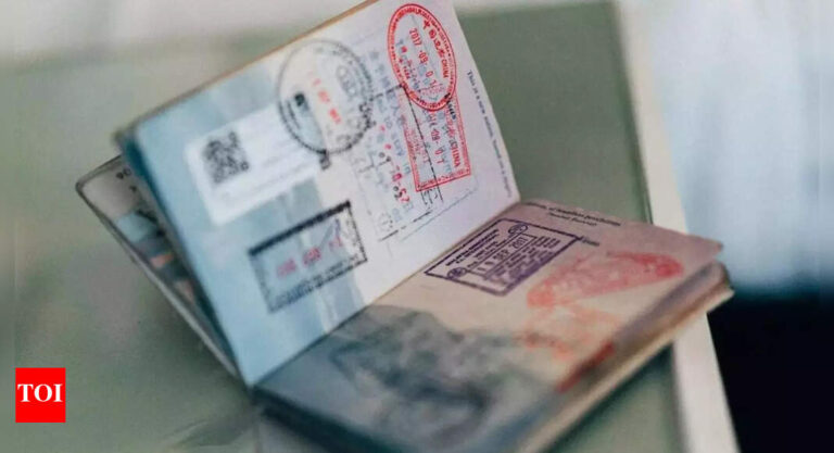From e-passports to colour-coded covers: Indian expats in UAE to see major passport overhaul in 2025
