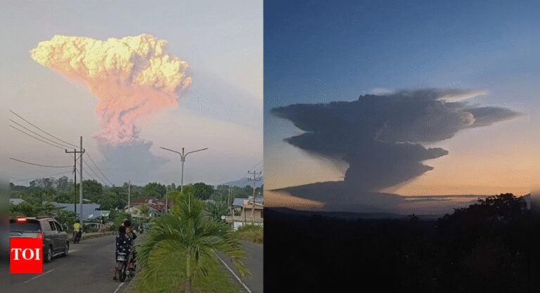 Watch: Mount Lewotobi erupts in Indonesia; sends ashes 10kms in the sky | World News