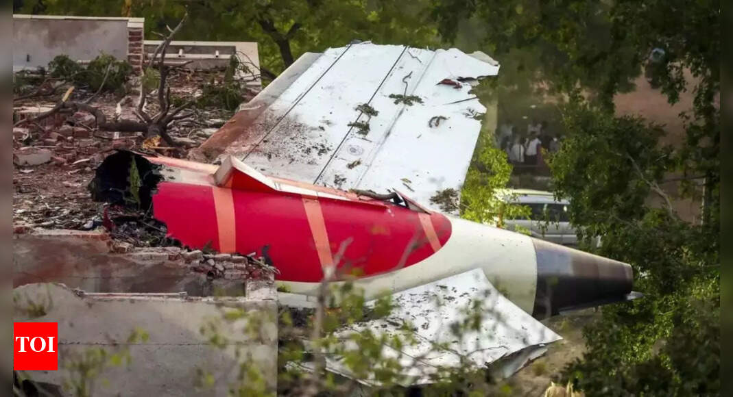 Indian-American professor slammed for blaming 'reservation' for Air India crash: 'Freeloaders are more important'