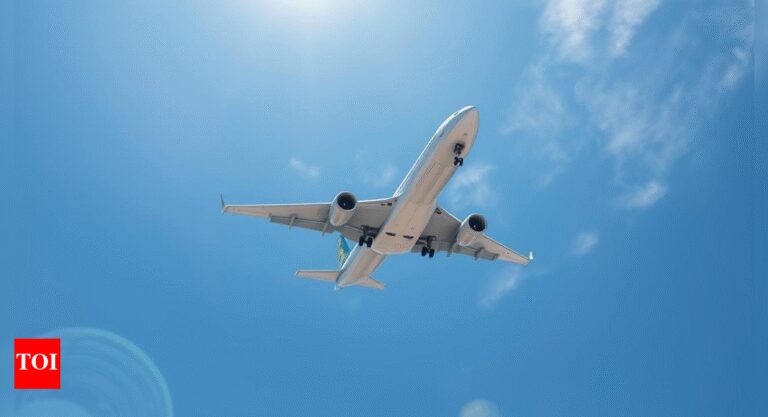 'Aircraft malfunction': Chinese domestic flight makes emergency landing in Nanjing; passengers report burning smell