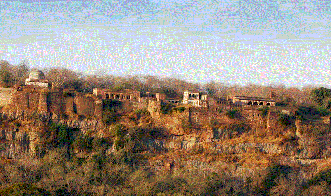 Ranthambore-Fort.gif