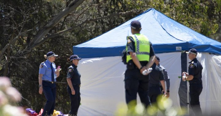 Parents ‘broken’ after bouncy castle operator cleared in deaths of 6 kids - National