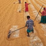 India’s unemployment rises to 5.6% in May amid post-harvest job losses