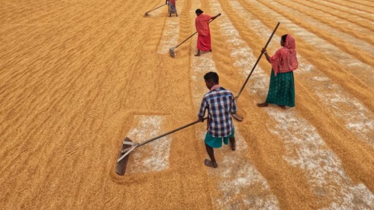 india-rural-work-scene.jpg