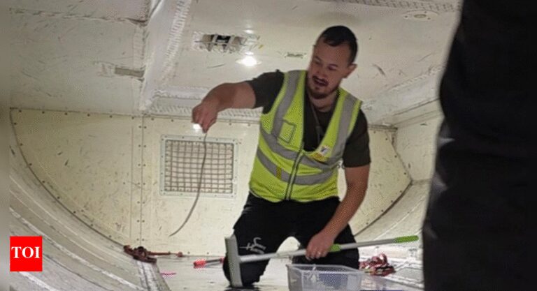 Melbourne to Brisbane: Snake found on board; Virgin Australia flight delayed by 2 hours