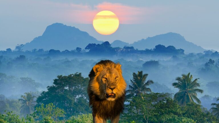 Morocco Leads North Africa in 2025 World Citizenship Index