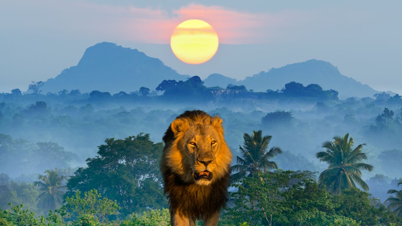 Morocco Leads North Africa in 2025 World Citizenship Index