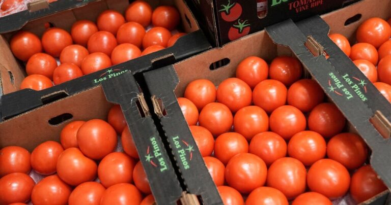 Trump administration imposes 17% tariff on fresh Mexican tomatoes