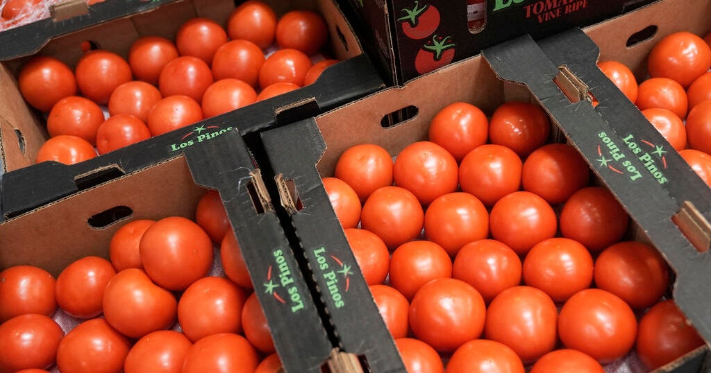 Trump administration imposes 17% tariff on fresh Mexican tomatoes