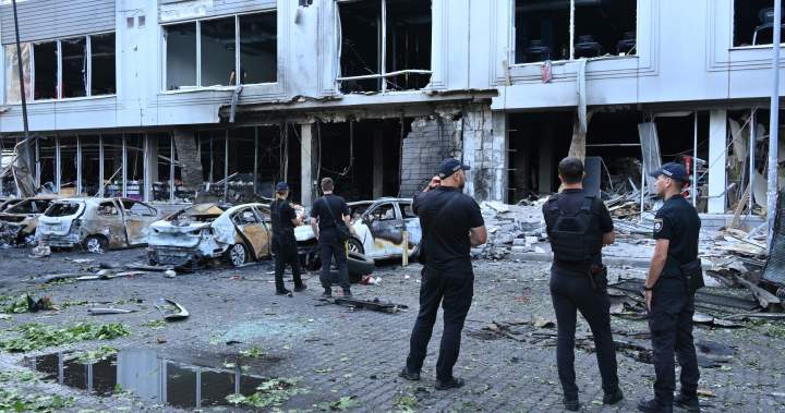 Zelenskyy renews offer to meet with Putin as latest peace talks loom - National