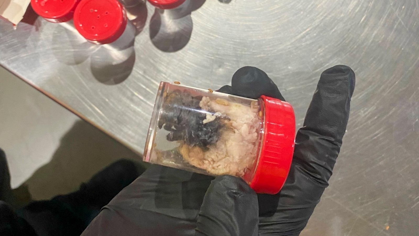 German customs show tarantulas hidden in spongecake boxes after smuggling bust