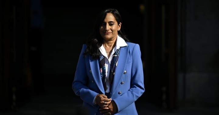 Canada leaving ‘no stone unturned’ to defend Arctic alongside NATO: Anand - National