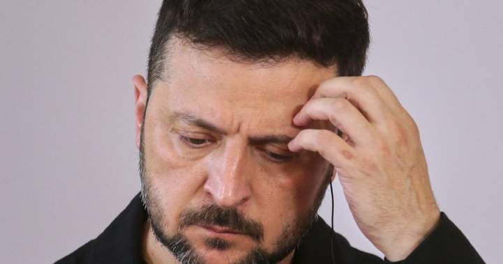 Zelenskyy dismisses Alaska summit between Putin, Trump that excludes Ukraine - National