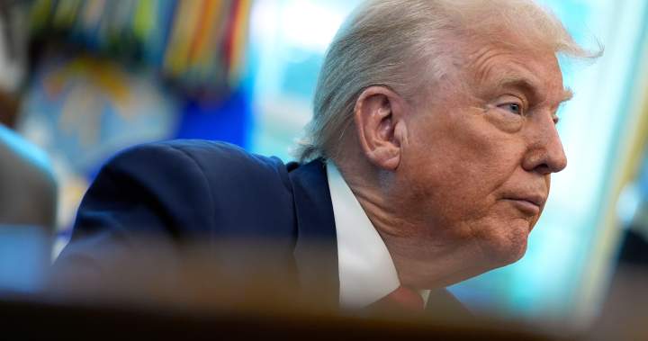 Trump wants Putin summit to ‘set the table’ for future Zelenskyy meeting - National