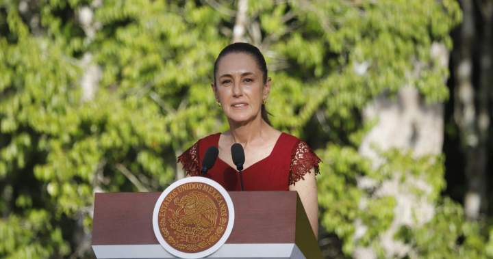 Mexico denies U.S. DEA statement on cross-border deal to fight drug cartels - National