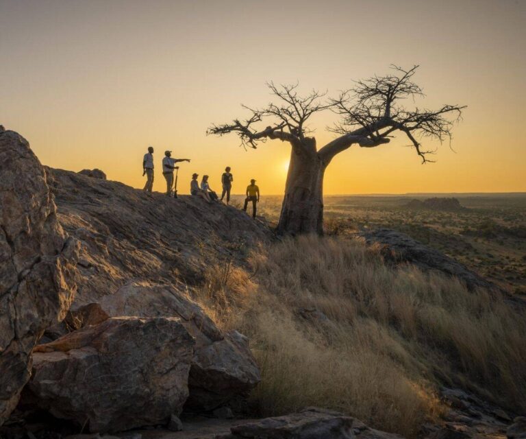Walking-safaris-in-Mashatu-Game-Reserve.jpg