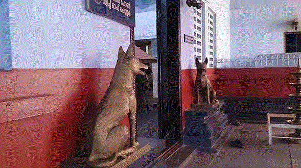 dogs-temple.gif