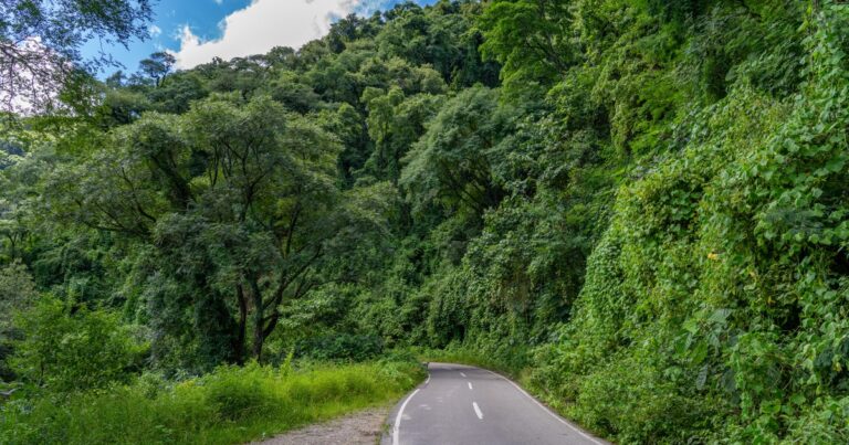 Suspected serial killer known as "machete man" caught with body parts at home, Argentina officials say