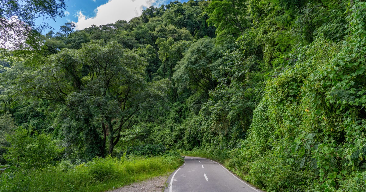 Suspected serial killer known as "machete man" caught with body parts at home, Argentina officials say
