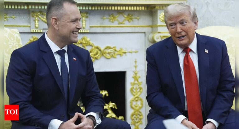 'First time in history': Trump offers more US military presence in Poland; calls conflict in Ukraine 'stupid war'