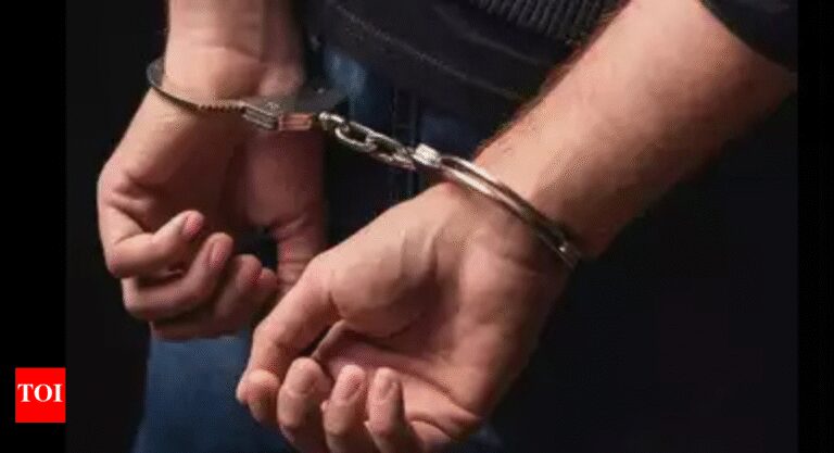 Man arrested over ‘racially motivated rape’ of British PIO woman in Oldbury