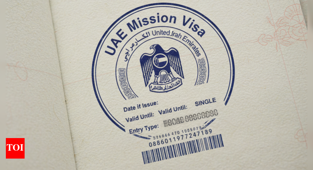 UAE Mission Visa 2025: A complete guide to short term employment for expat professionals | World News
