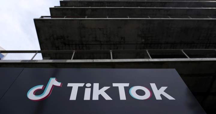 Trump says US TikTok deal could include Rupert Murdoch, Michael Dell - National