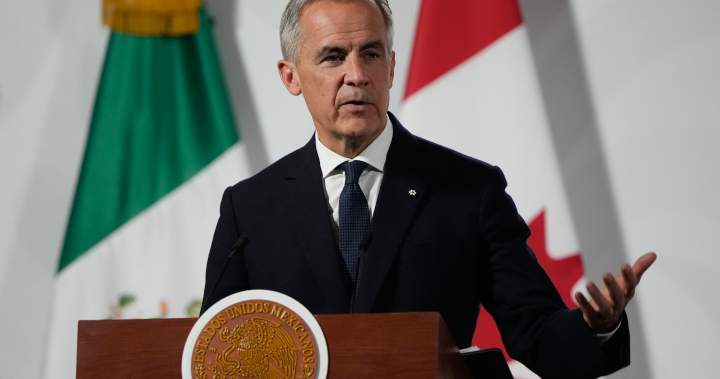 Carney says Mexican gangs operating in Canada ‘and vice versa,’ vows action - National