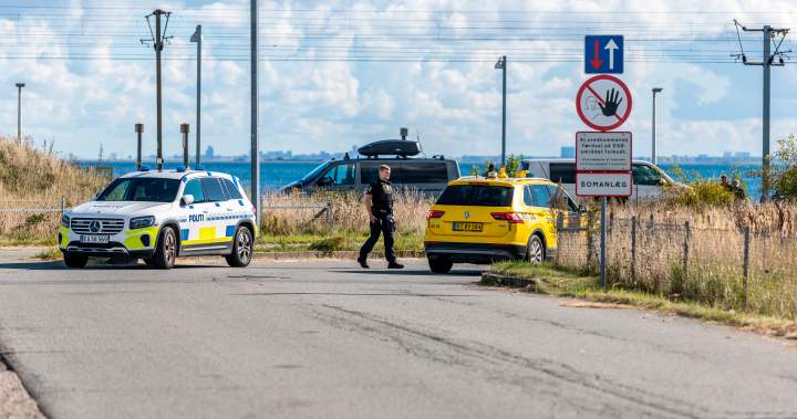 Denmark reports new drone sightings over army bases, NATO ups surveillance - National