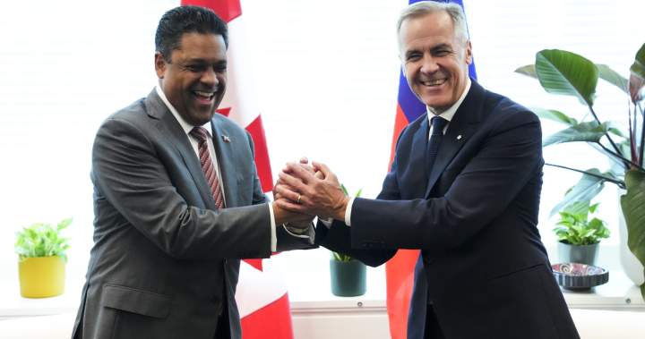 Canada commits $60M to Haiti, wants UN to back U.S. gang suppression plan - National