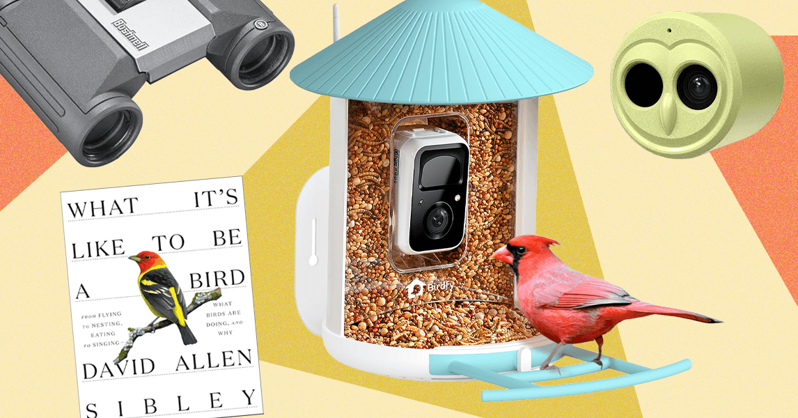 The-15-Best-Gifts-for-Bird-Lovers-Tried-and-Tested-by-WIREDs-Resident-Bird-Nerd.png