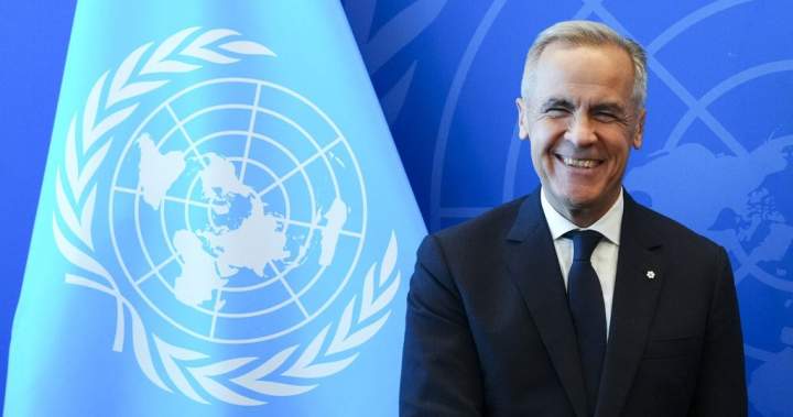 Canada adds Palestinian state to Israel travel advisory after recognition - National