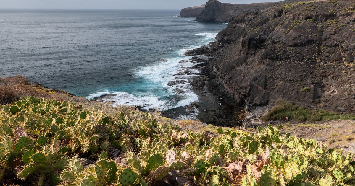 Court convicts man of throwing puppy off cliff in front of partner, citing gender violence law in Spain